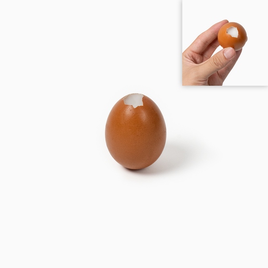 Real Eggshell Squishy